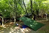 一本松公園（昭和の森）川遊び場