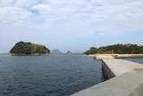 真宮島