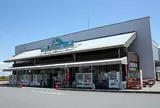 道の駅はにゅう
