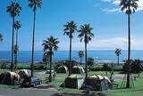宮崎白浜キャンプ場