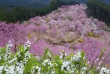 天空の庭 高見の郷
