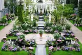 奇跡の星の植物館