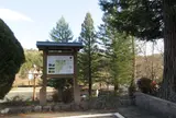 エーデルささゆり