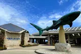沖縄美ら海水族館