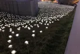 LEDバラ庭園