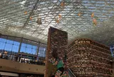 Starfield Library