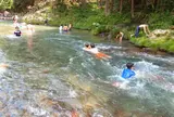 秋川渓谷