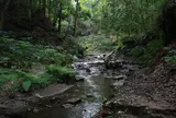 陣ケ下渓谷公園
