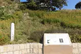 アカシゾウ発掘地