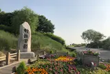 Haneul Park