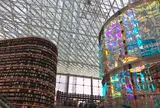 Starfield Library