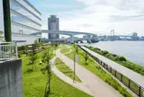 有明北緑道公園