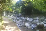 芥川