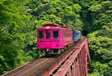 トロッコ列車ゆうすげ号