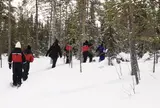 スノー・シュー - Wlid Nordic, Levi