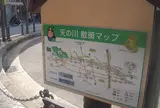 天野川