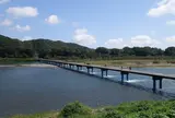 佐田沈下橋