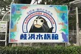 桂浜水族館