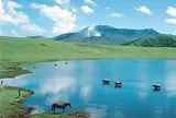  草千里ヶ浜
