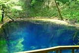青池