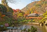 吉池旅館