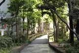 新宿遊歩道公園 四季の路