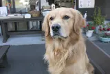 風の道