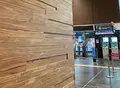 富山駅の写真_389621