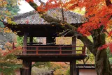 中院