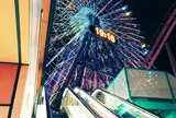 よこはまコスモワールド