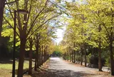 日本へそ公園