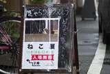 ぎゃらりーKnulp