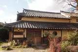 藪椿