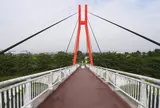 自転車天国
