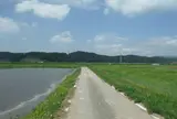 THE農道！！田んぼに囲まれて＼(^o^)／