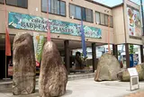 金太郎