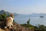 大久野島