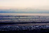 雨晴海岸