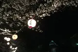 熊本城