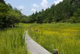 川口米