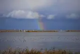 高島市新旭水鳥観察センター