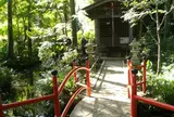 お鷹の道・真姿の池湧水群