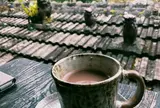 やちむん喫茶シーサー園