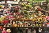 サンクチュアリ