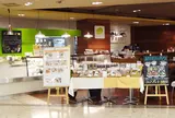 チャヤ マクロビ 日比谷シャンテ店