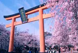 平野神社