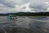 仲間川マングローブクルーズ（西表島）