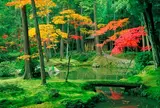 西芳寺