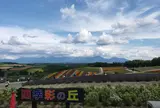 四季彩の丘
