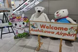 旭川空港